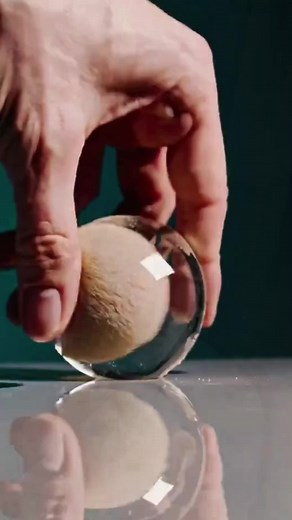 Understanding the Role of a Stepsister