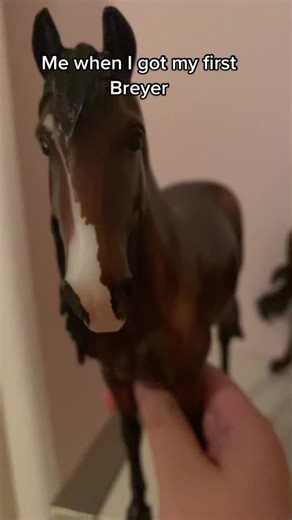 Cómo los caballos Breyer traen alegría sin mirar el banco
