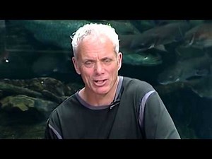 River Monsters vs. Biologist Jeremy Wade | Video Interview