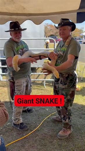Official Turtleman on Instagram: "Turtleman and Swampman playing with a monster snake ! Go to Turtlemanliveaction.com For more live action 🎬 #YEEYEE #LIVEACTION #Turtleman #swampman #callofthewildman"