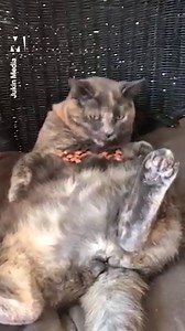 179K views · 1.6K reactions | "What are your plans for this weekend?" Me: | Metro | Facebook