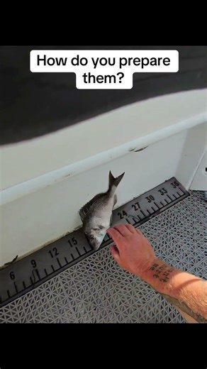 What’s your favorite way to prepare scup? #fishrecipe #fishingtips #fishingtricks #saltwaterfish