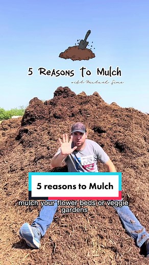 Top 5 Benefits of Using Mulch in Your Garden