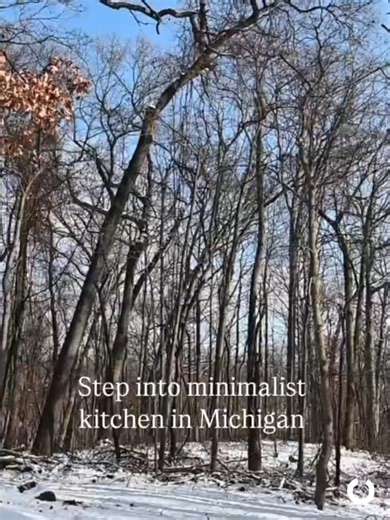 Bright white cabinets, warm wood, and a forest view — this Michigan kitchen feels simple but not cold. Handleless fronts keep the look clean, and the space stays easy to live in. #minimalistkitchen #whitekitchen #handlelesskitchen #modernkitchen #kitchendesign #kitchenrenovation #michiganhomes #customkitchen
