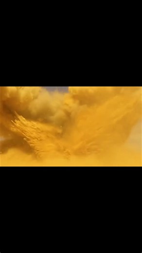 The Algerian National People's Army [ANP] conducted a large-scale military exercise to enhance combat readiness, joint-force coordination, and rapid response capabilities against modern threats. #algeria #airforce #navy #pourtoi #fyp