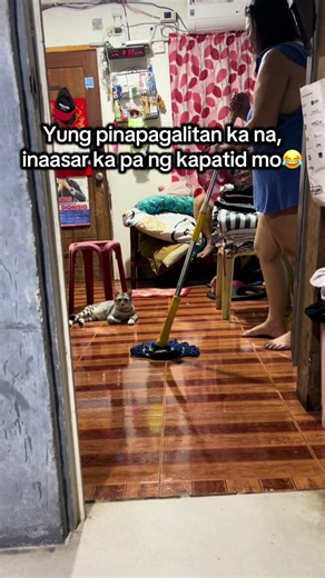 Cats Getting Scolded: Hilarious Family Moments