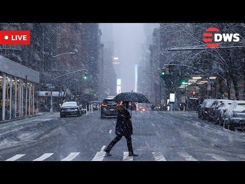 LIVE: Snow Falls Over Times Square NYC ❄️ Winter Weather | New York Live Cam | AL14