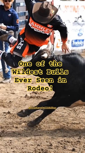 One of the Wildest Bulls Ever Seen in Rodeo!