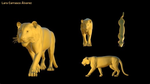Tiger - Quadruped 3D Animation