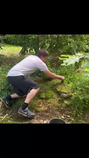 Building a Magical Fairy Garden! #fairygarden #diycrafts