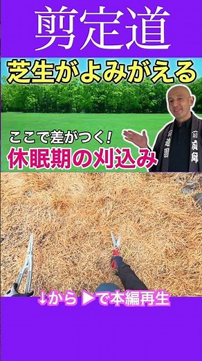 Reviving your lawn: Here's the difference that comes from proper mowing techniques #pruning #agri...