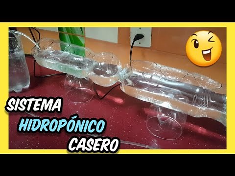 HOME HYDROPONIC CROP SYSTEM WITH LANDLESS BOTTLES STEP BY STEP. GARDEN IN HOME WITH WATER