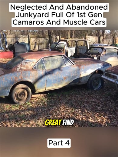 Neglected And Abandoned Junkyard Full Of 1st Gen Camaros And Muscle Cars! (Part 4) #barnfind #abandonedcar | Abandoned Cars