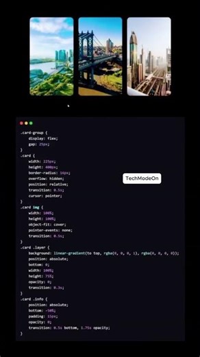 🔥Card Hover Effects in CSS | blur() | Pro CSS Using VS Code #shorts