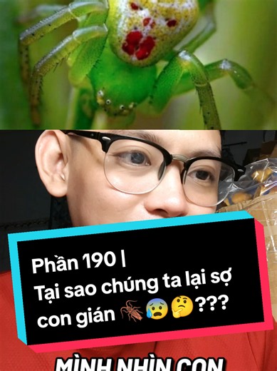 Phần 190 | Tại sao chúng ta lại sợ con gián 🪳😰🤔??? #kienthuc #learnontiktok