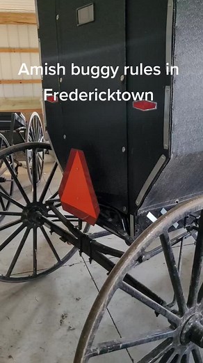 Amish Buggy Lighting and Rules Explained