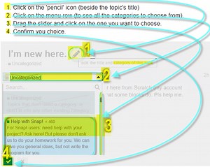 How to change a forum category of a topic?