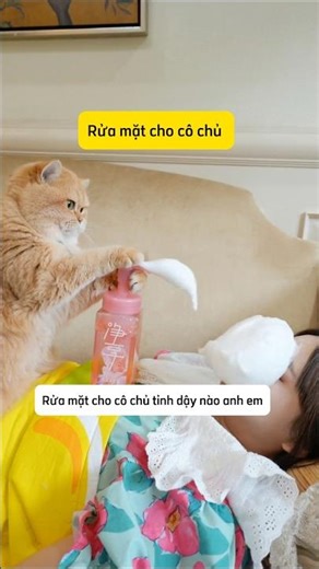 Funny cats who know how to take care of their owner #shorts