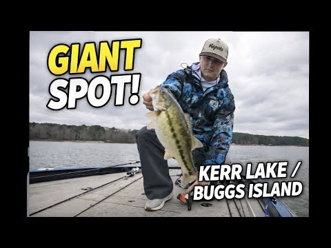 Pre-Spawn Fishing at Kerr Lake (Buggs Island)… I Hooked a GIANT!