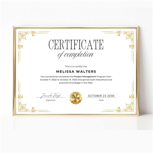 Editable Certificate of Completion Template, Professional Course Award (instant Download) - Etsy Canada