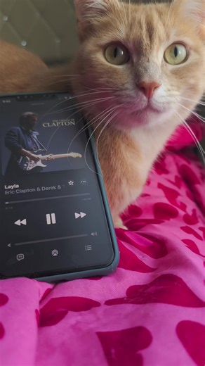 The Timeless Classic of 'Layla' by Eric Clapton