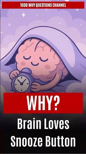 Why Your Brain Loves the Snooze Button 😴 | Science in 60s #1000whyquestions #SleepScience