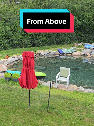 The pool from above...even when we're not in it, it's so relaxing to look at...calm. .peace...reenergize. #summer2026 #saltwater #pondpool