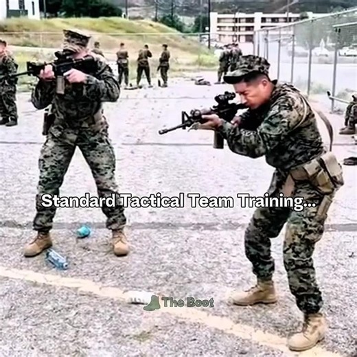 Standard Military Team Training