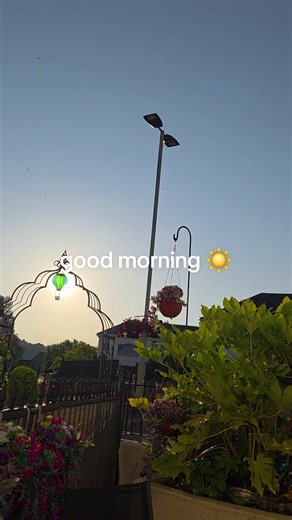 good morning, happy Thursday 😊 #morning #thursday #fridayeve