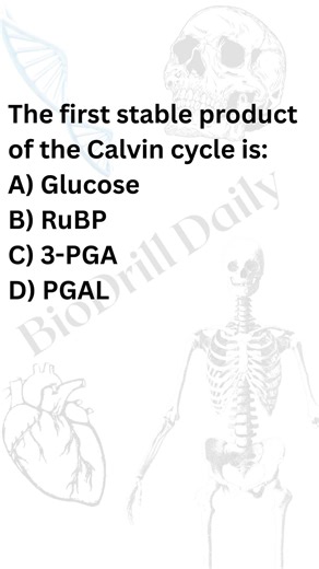 “Crack NEET Bio: Quick Quiz Time!” #neetbiology #neet2026 #mcqsseries #neetaspirents #neetprep