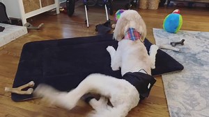 309K views · 10K reactions | I’m giving a recap on Benny’s...