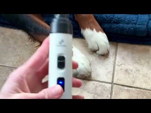Quiet Nail Grinder For Nervous Dogs