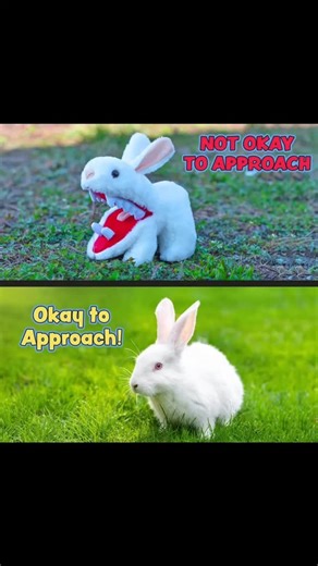 Darkside Collectibles on Instagram: "One of the most viscous creatures in cinematic history is coming to Darkside Collectibles....... This creature ravages anything in its path.... The Rabbit of Caerbannog from Monty Python and the Holy Grail Another example of horror crossing over into other genres...... Pick up this absolutely terrifying plush when it arrives...... If you dare........"