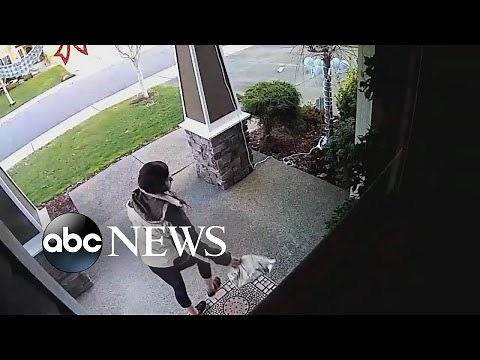 Homeowners Fight Back Against Thieves Stealing Packages From Porches