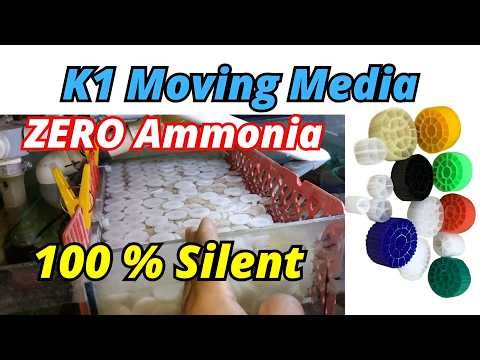 How To Remove Aquarium Ammonia | Best K1 Silent Bio Filter for Aquarium | Urdu