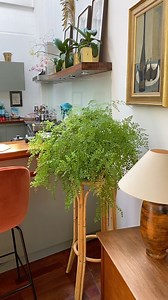 1.2M views · 18K reactions | Discovered this song ‘Jungle Jungle’ by French pop star Bibi Flash, release in the year I was born (1981). It’s my theme song 藍 Wish you a very happy Sunday  | Jamie's Jungle | Facebook