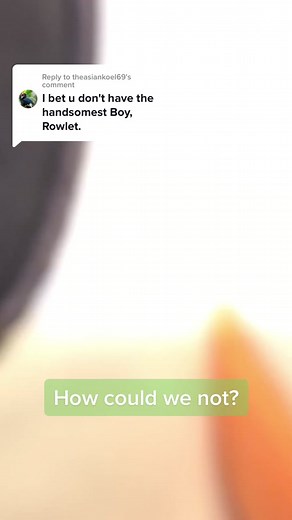 Mocchiri Rowlet Plush - Life Size Rowlet Peluche