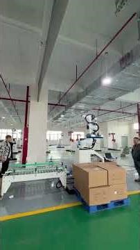 Collaborative palletizing robot, collaborative depalletizing robot, collaborative robot