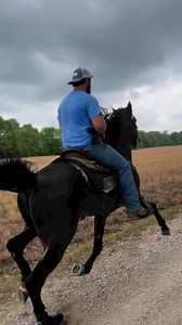 💯 PRINCE HENRY 💯 keg shod stallion sired by the late and great, Touchdown! Owned by Eric Osborne | Jacob Parks