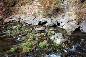 Mount Shasta City Park - Alchetron, The Free Social Encyclopedia