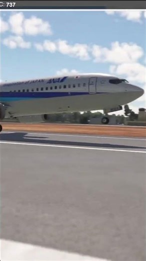 Short Haul Logistics: Boeing 737-8 Low Altitude Roig to Romy Procedure Flight