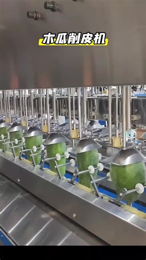 @sadlifelove360 on Instagram: "Fruit peeling automatic machine #FruitPeeling #AutomationInFoodProcessing #FoodTech #PeelingMachine #FruitProcessing #EfficientFoodPrep #KitchenAutomation #FoodIndustry #FreshFruit #MachineDesign #FoodSafety #ProduceProcessing #InnovativeFoodTech #StreamlineOperations #AutomatedPeeling fruit peeling automatic machine, food tech, peeling machine, fruit processing, efficient food prep, kitchen automation, food industry, fresh fruit, machine design, food safety, produ