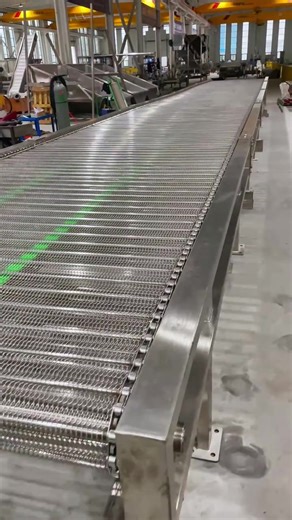 Custom Mesh Belt Conveyors for Industry
