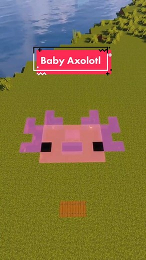 Building an Underground House for Baby Axolotl in Minecraft
