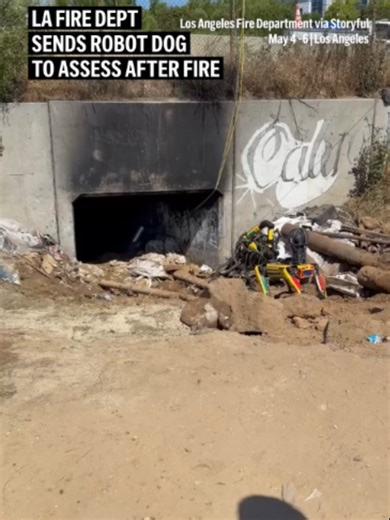 Conditions were too dangerous for crews to enter a tunnel, so the Los Angeles Fire Department sent in a camera-equipped robot dog to remotely assess the structurally stability after a fire started in an access portal under a freeway. #fire #losangeles #firedepartment #robot #dogs