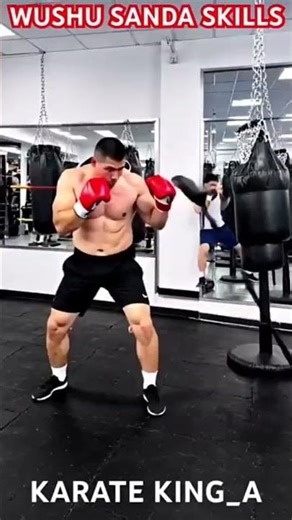 Εφαρμογές από την τεχνική φόρμα του Παραδοσιακού στυλ