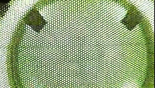 Large Black Inflatable Night Club 30x20x13Ft Disco Cube Gazebo Event House with Logo Area Portable Inflatable Party Tent for Birthday, School Events, Backyard Party, Rental Business