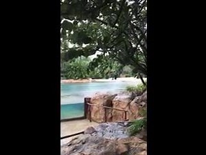 Here's our latest update from our ride out crew. | Discovery Cove