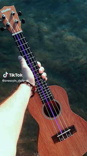 SpongeBob Ukulele Songs: Memes, Tutorials & Covers