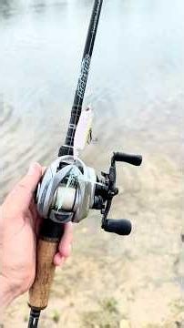 Do you think this tiny fishing lure can catch big bass? #fishing #bfsfishing